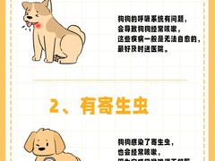 -美迦爱-牙专科·兔科·骨科诊疗中心(北苑店)