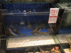 -添福来墨鱼饺子 · 海鲜东北菜(泡崖店)