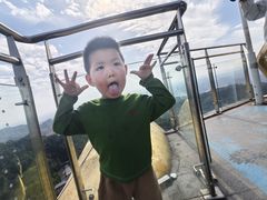 -大金鹰园