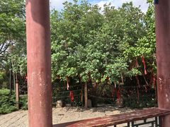 -南翠屏公园