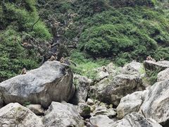-三峡人家风景区