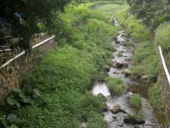 -梧桐山风景名胜区