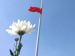-侵华日军南京大屠杀遇难同胞纪念馆