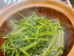 -熠盛粤味·顺德桑拿鸡(永康路店)