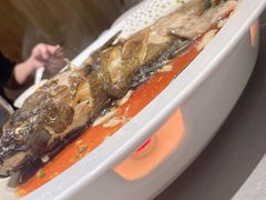 挪威新鲜三文鱼-神洲四海大酒楼(王府井澳门中心店)