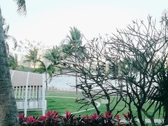 -雾山韩式烤肉·海南糟粕&椰子鸡火锅·海景餐厅(三亚绿发山海天JW万豪酒店)