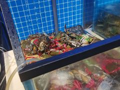 -海天盛宴潮汕蒸汽海鲜高端自助形象店