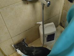 -佳雯宠物医院·皮肤科·内外科(春晓路分院)