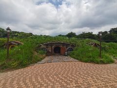 -济州森林小火车生态公园