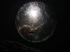 -珠海长隆海洋王国