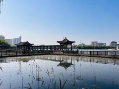 -莲花池公园