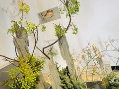 -石家庄市植物园