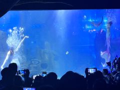 -江和美海洋公园