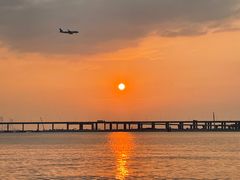 -宝安西湾红树林湿地公园