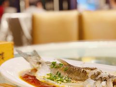 -留芳·文旅古月楼(老街店)