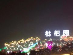 -枇杷园食为鲜火锅(南山店)