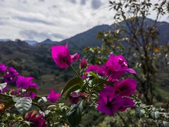 -篁岭景区