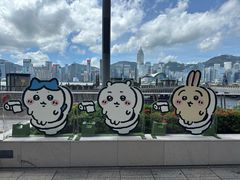 -星光大道