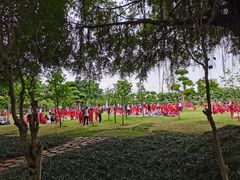 -南宁南湖公园