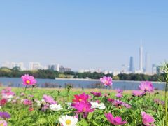 -海珠湖公园