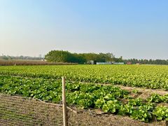 -汉长安城未央宫国家考古遗址公园