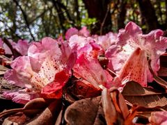 -嘉百乐超市(新东街店)