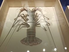 -重庆自然博物馆(新馆)