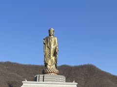 -中原大佛景区