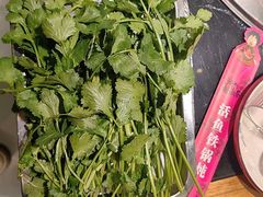 -刘淑芬·活鱼铁锅炖(北京首店)