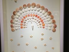 -青岛贝壳博物馆