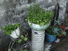 -三溪村