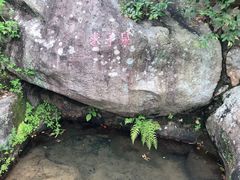 -东澳岛