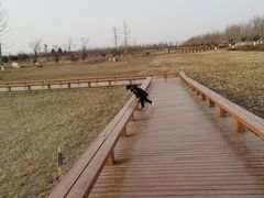 -汉长安城未央宫国家考古遗址公园