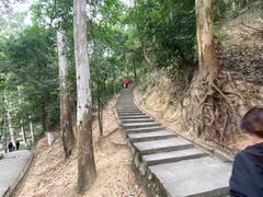 -火炉山森林公园