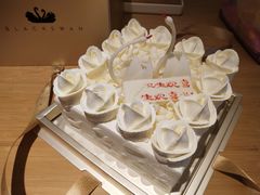 -BLACKSWAN黑天鹅(新希望店)