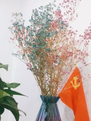 -凡碧诗毛孔收细