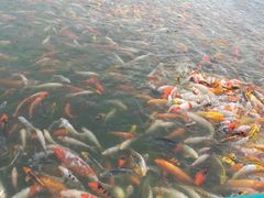 -北戴河圣蓝海洋公园