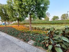 -上海山野camping·户外天幕烧烤·团建拓展营地
