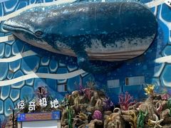 -华夏文旅海洋公园