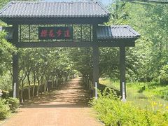 -合肥滨湖国家森林公园