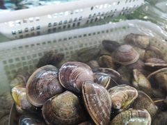 -南庄酒家·海鲜粤菜·25年老字号(环城南路店)
