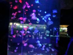 -台州海洋世界