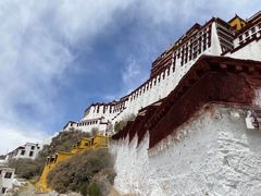 -吉祥圣雪藏餐