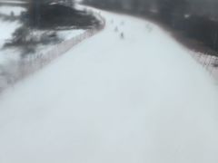 -翠云山银河滑雪场