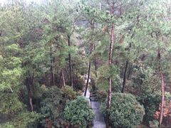 -梦姑塘文化公园
