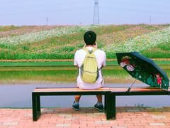 -迪茵湖田家舍生态农场