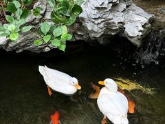 -顺德渔村·岭南一号