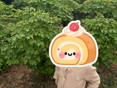 -洛阳市隋唐城遗址植物园