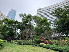 -厦门国际会议中心酒店(环岛路酒店)