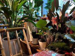 -火塘云南烧烤大排档